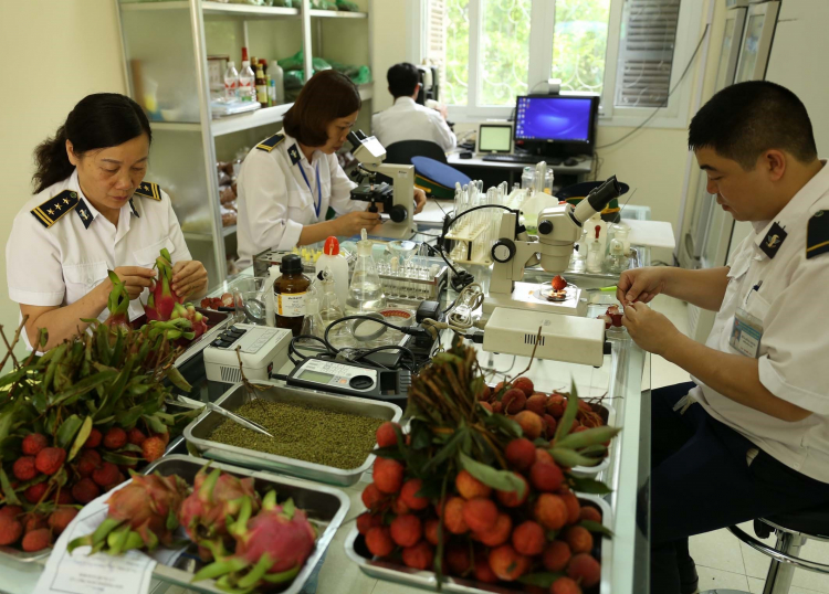 Các loại nông sản trái cây cần giấy chứng nhận kiểm dịch thực vật